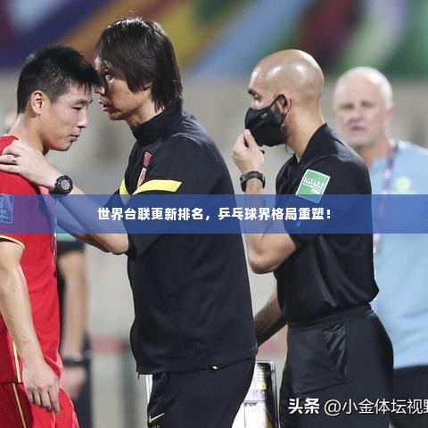 世界台联更新排名,乒乓球界格局重塑!