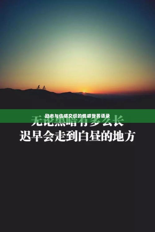 励志与伤感交织的情感世界语录