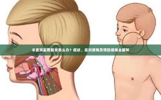 半夜突发腮腺炎怎么办?症状、应对措施及预防措施全解析