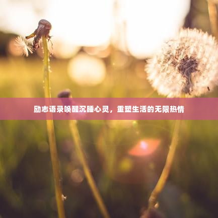 励志语录唤醒沉睡心灵,重塑生活的无限热情