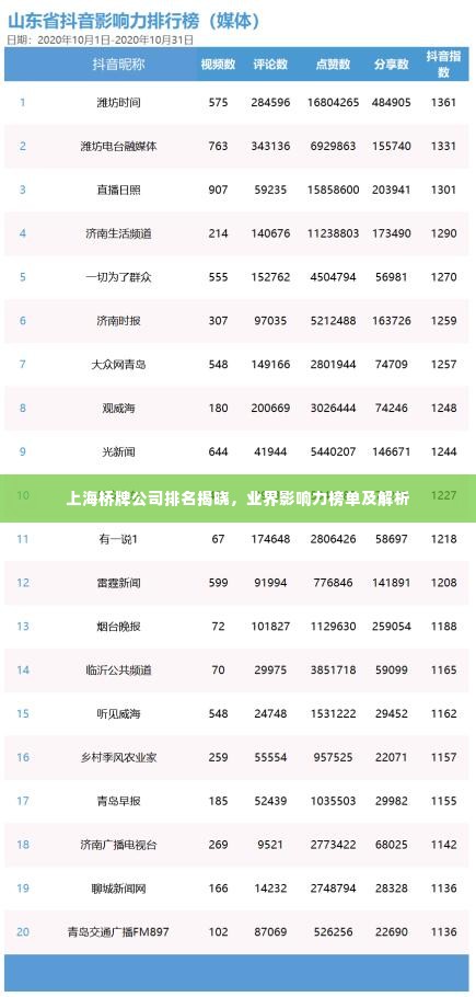 上海桥牌公司排名揭晓，业界影响力榜单及解析