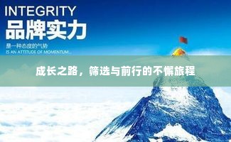 成长之路,筛选与前行的不懈旅程