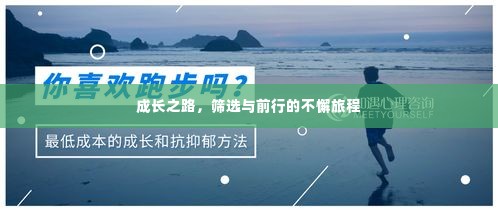 成长之路,筛选与前行的不懈旅程
