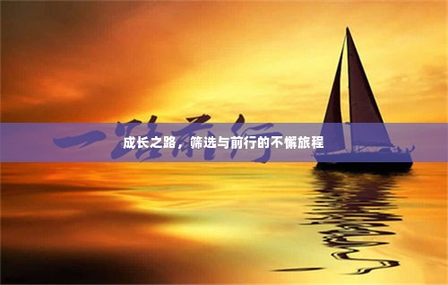 成长之路，筛选与前行的不懈旅程