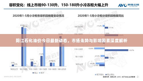 阳江石化油价今日最新动态,市场走势与影响因素深度解析