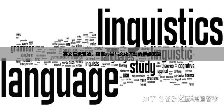 英文高级表达,语言力量与文化流动的持续交融