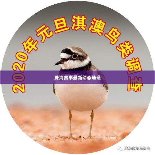 珠海赛事最新动态速递