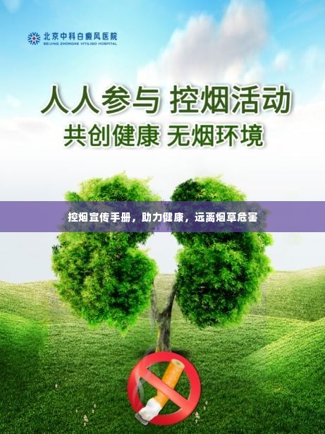 控烟宣传手册,助力健康,远离烟草危害