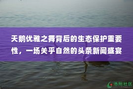 罗含梦鸟 第2页