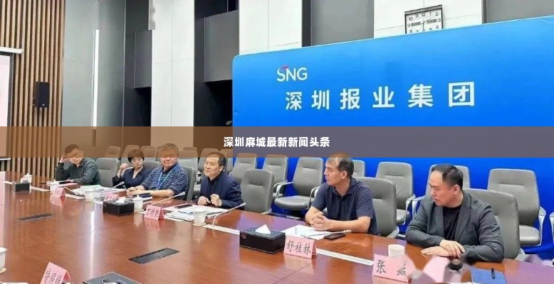 深圳麻城最新新闻头条