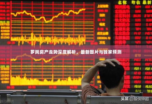 罗岗房产走势深度解析，最新图片与独家预测