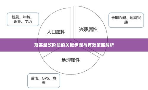 落实整改阶段的关键步骤与有效策略解析