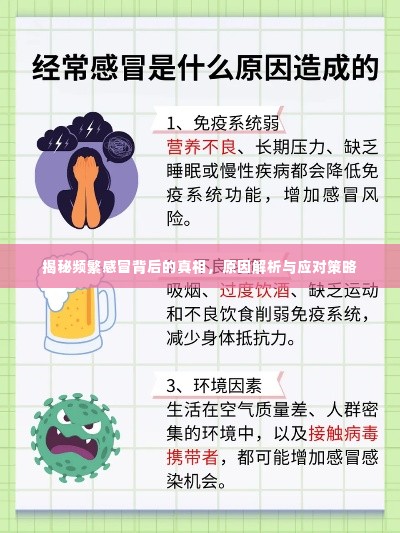 揭秘频繁感冒背后的真相，原因解析与应对策略