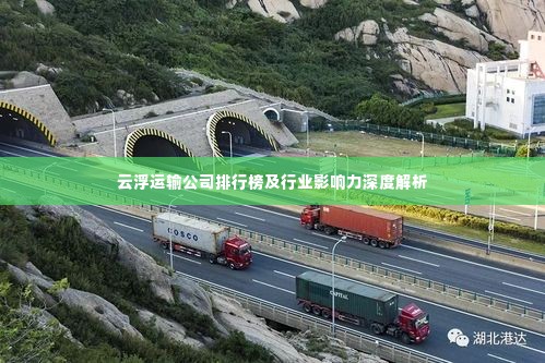 云浮运输公司排行榜及行业影响力深度解析