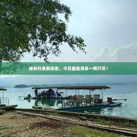 桂林钓鱼新动态,今日最新消息一网打尽!