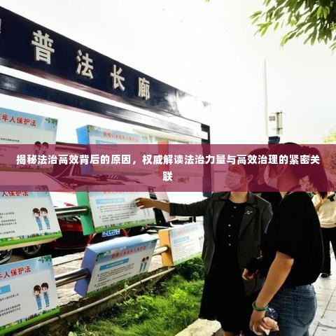 揭秘法治高效背后的原因,权威解读法治力量与高效治理的紧密关联