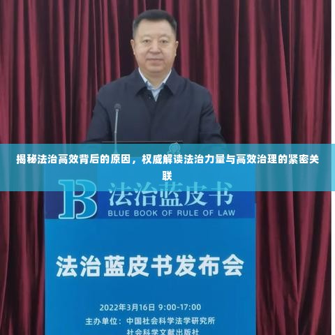 揭秘法治高效背后的原因,权威解读法治力量与高效治理的紧密关联