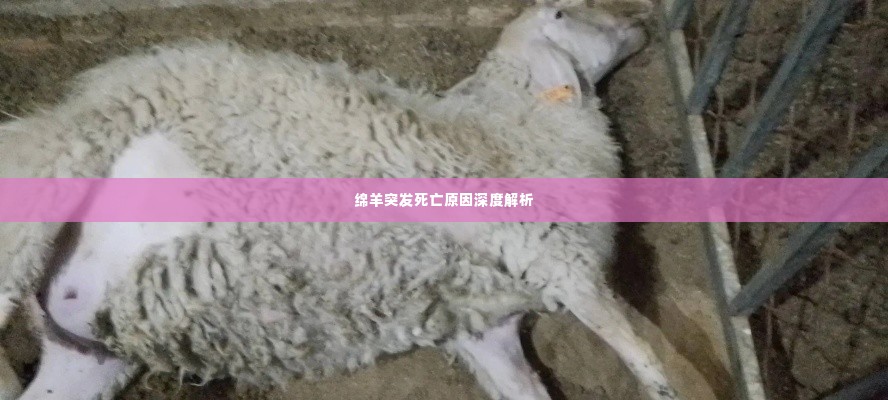 凿壁偷光 第2页