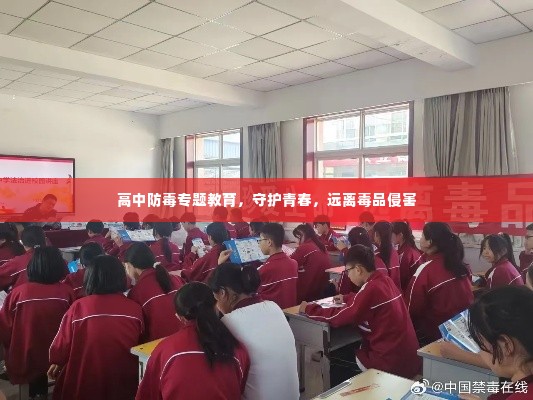 高中防毒专题教育,守护青春,远离毒品侵害