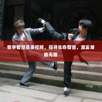哲学智慧语录视频,探寻生命智慧,激发潜能无限