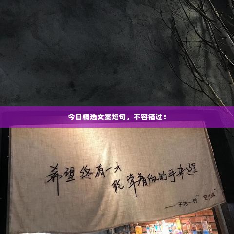 今日精选文案短句,不容错过!