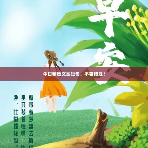 今日精选文案短句,不容错过!