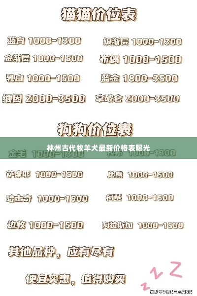 林州古代牧羊犬最新价格表曝光