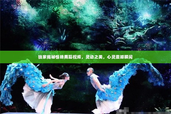 独家揭秘惊艳舞蹈视频,灵动之美,心灵震撼瞬间