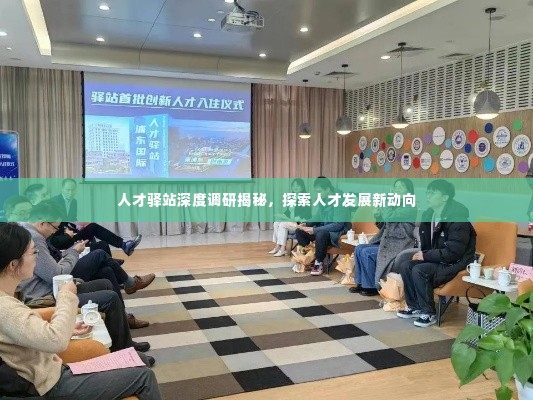 人才驿站深度调研揭秘,探索人才发展新动向