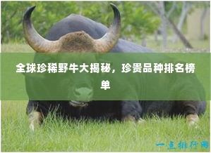 韦编三绝 第2页