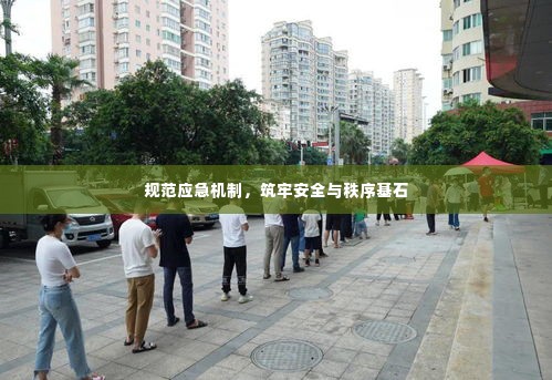规范应急机制,筑牢安全与秩序基石