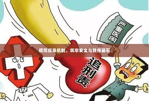 规范应急机制,筑牢安全与秩序基石