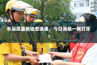 东丽区最新动态速递,今日消息一网打尽!