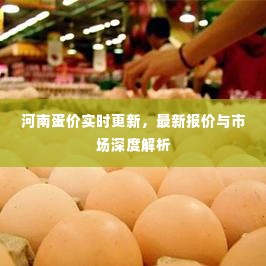 河南蛋价实时更新，最新报价与市场深度解析