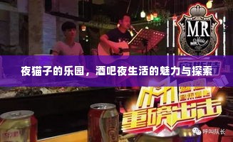 夜猫子的乐园，酒吧夜生活的魅力与探索
