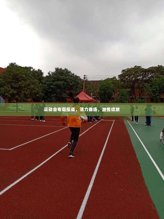 运动会专题报道,活力赛场,激情绽放