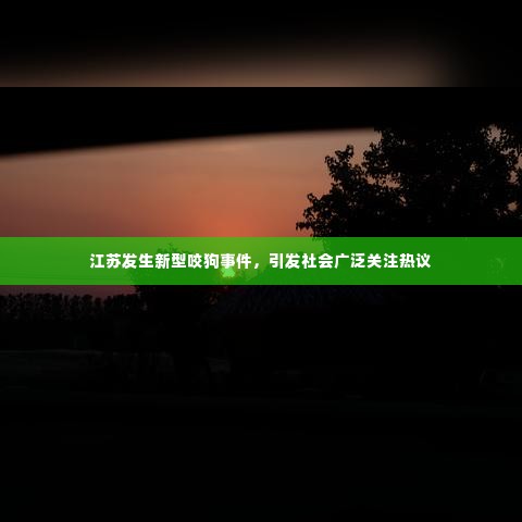 江苏发生新型咬狗事件,引发社会广泛关注热议