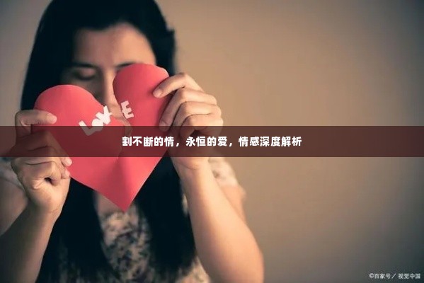 割不断的情，永恒的爱，情感深度解析