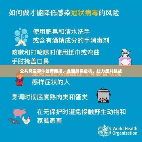 公共突发事件最新简报,全面解读危机,助力应对挑战