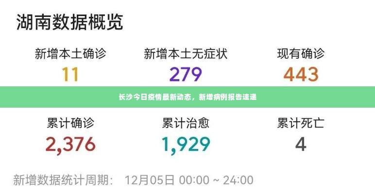 长沙今日疫情最新动态，新增病例报告速递