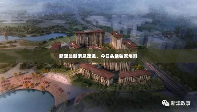 新津最新消息速递,今日头条独家爆料