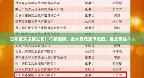 苏州医药连锁公司排行榜揭晓,各大品牌竞争激烈,谁是领头羊?