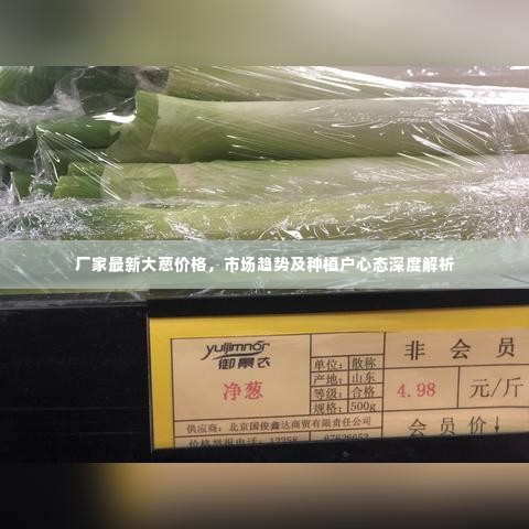 青鸟殷勤 第2页