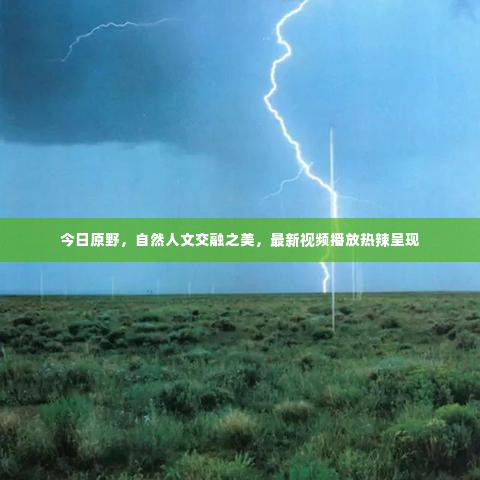 今日原野,自然人文交融之美,最新视频播放热辣呈现