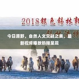 今日原野,自然人文交融之美,最新视频播放热辣呈现