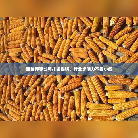 巨量库存公司排名揭晓，行业影响力不容小觑