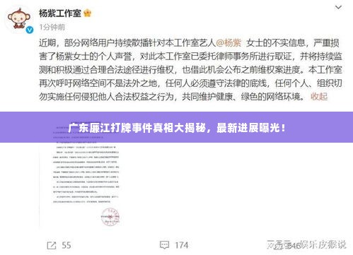 广东廉江打牌事件真相大揭秘，最新进展曝光！