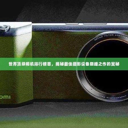 怀真抱素 第2页