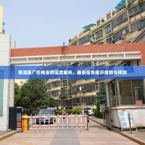 南湖搬厂价格走势深度解析，最新报告揭示趋势与预测