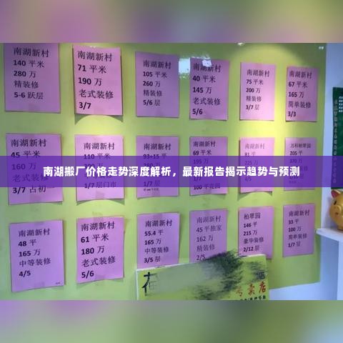 南湖搬厂价格走势深度解析,最新报告揭示趋势与预测